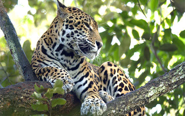 Unique Adventure & Nature Peru