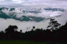 cloud forests of Vilaya