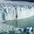 Continental Ice Field Expedition - Calafate - Every alternate Tuesday, November - March, minimum 3 pax - Amazing Antarctica