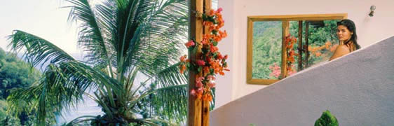 Anse Chastanet Beach Hotel - Amazing Caribbean