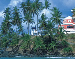 Blue Heaven Hotel - Amazing Caribbean