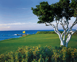Four Seasons Resort - Amazing Caribbean