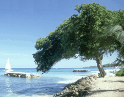 Barbados - Amazing Caribbean