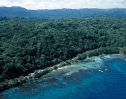 CARIBBEAN ESCAPES - Saint Lucia - Amazing Caribbean