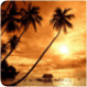 Tobago - Amazing Antarctica