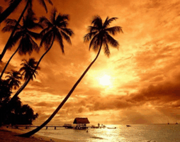 Caribbean Escapes  Tobago