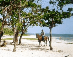 Caribbean Escapes Trinidad - Amazing Caribbean
