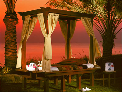 The Ritz Carlton Hotel - Santiago - Chile