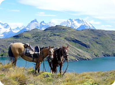 Crossing andes horseback
