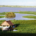 Iquitos - Luxury Peru Tour 6