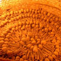 Catacombs in the Church of San Francisco - Premium Peru Tour 1
