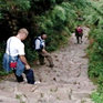 Trekking  around Cusco - Royal Inca Trail to Machu Picchu