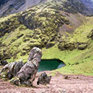 Trekking  around Cusco - Patakancha and Pumamarca trek