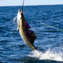 Fishing Tour - Machu Picchu Tours