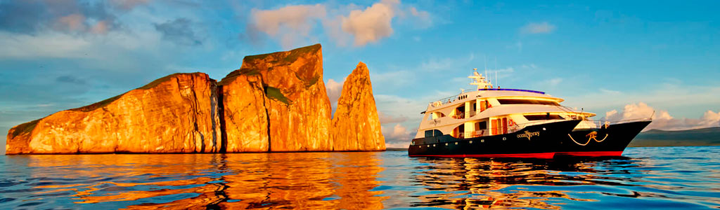 Christmas Cruises