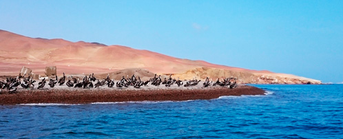 Paracas Islands