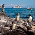 Christmas in Ecuador & Galapagos 2015 - 5 day cruise on the Beluga Yacht