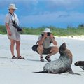 Christmas in Galapagos 2015 - 10 day cruise on the Millenium Yacht
