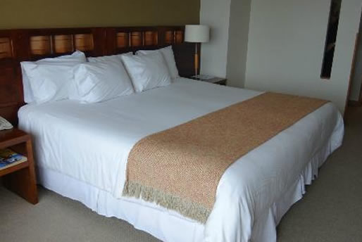Cumbres Hotel