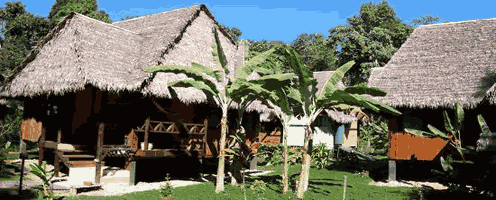 Libertador Tambopata Lodge