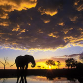 Destinatios Botswana Tours