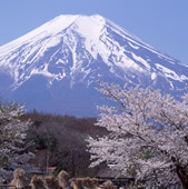 Destinatios Japan Tours