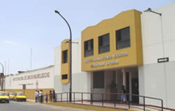 Brain Museum