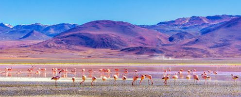 Deserts coloured lagoons