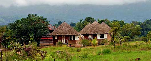 Suriname and the Guyana Experience