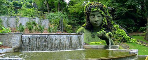 Suriname and the Guyana Experience