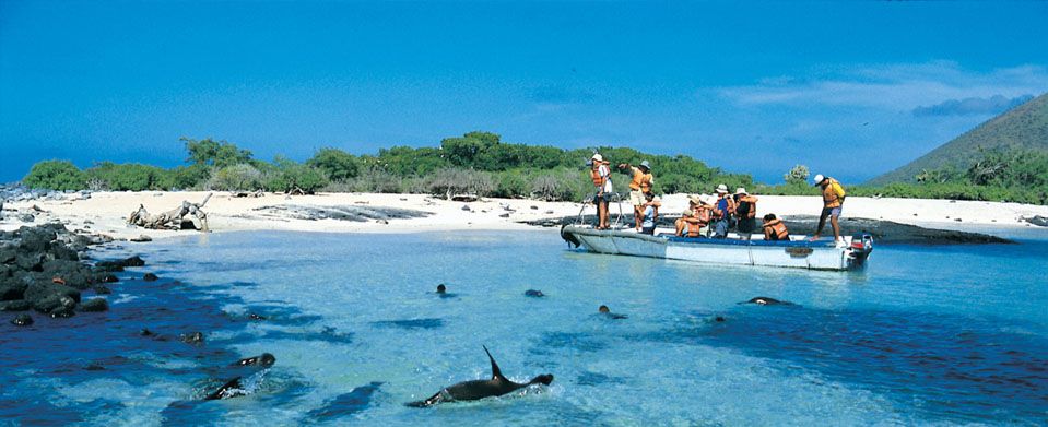 Accessible Galapagos