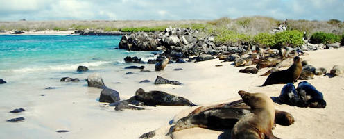 Ecuador & Galapagos Adventure Land Tour