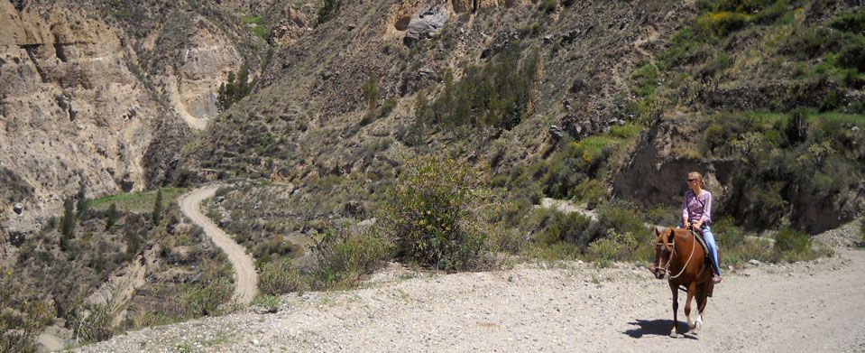 Horseback Riding Adventure across the Andes