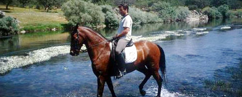 Peru Tour for Riders
Horse riding Sacred Valley - Machu Picchu - Lake Titicaca