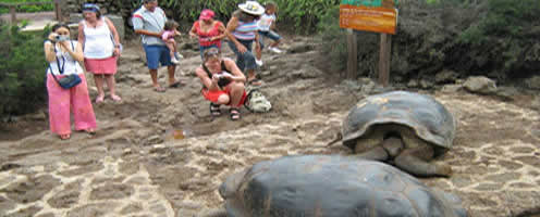 Machu Picchu and Galapagos Islands