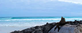 Christmas and New Year's in Ecuador & Galapagos