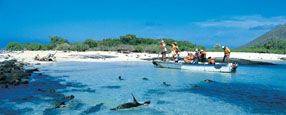 Accessible Galapagos