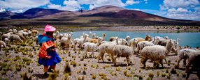 2023 Adventure Peru & Galapagos Land Based Tour