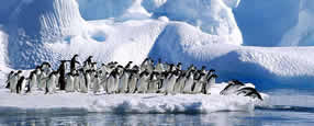 Classic Antarctica Tour