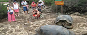 Machu Picchu and Galapagos Islands