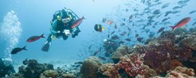 Marvels of Latin America - Assisted - 	Galapagos Islands, Machu Picchu & Easter Islands