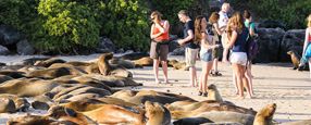 Peru and The Galapagos Islands
