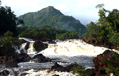 Guyana Tours