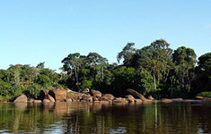 Surinam Tours