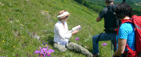 Orchid Tours & Wild Orchid Treks