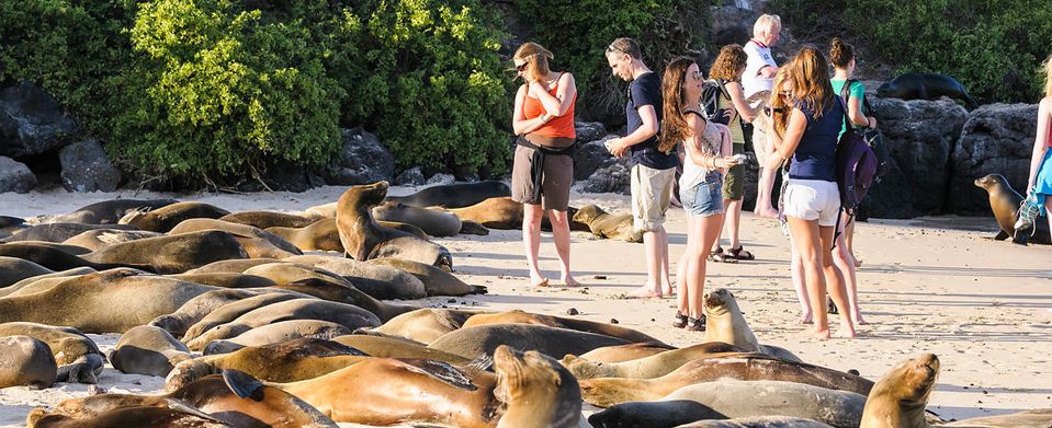 Peru and The Galapagos Islands