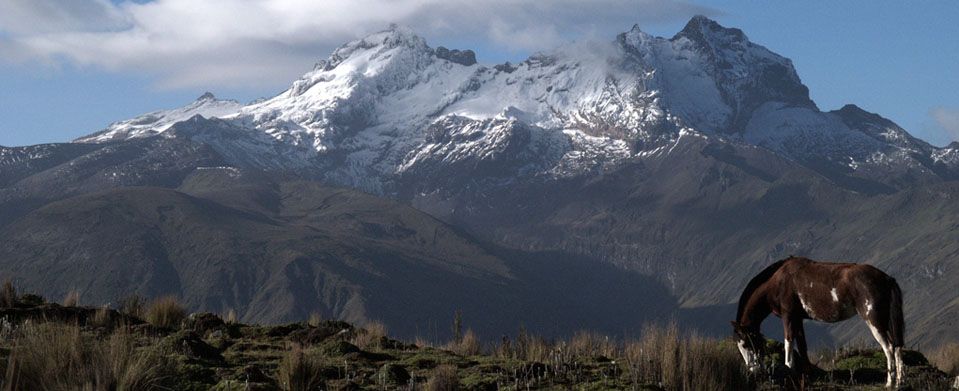 Peru to Ecuador Tour