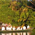 2021 Christmas Brazil Tour<br />
Iguazu Falls & Amazon River Cruise from Manaus