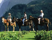 Horse riding tour to the ruins above Cuzco - Private or group