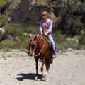 Horseback Riding Adventure across the Andes
